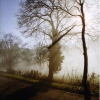 matin brumeux