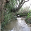 Ruisseau