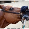 genet sous la douche