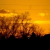 Paysage