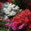 la nature