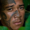 Hatutii, dans les feuillages des Marquises
