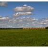 Moisson