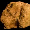 Sculpture d'une Tête Humaine