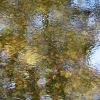 Impression