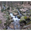 Le ruisseau