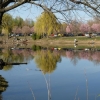 le plan d'eau de Cournon