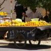 Le marchand d'agrumes