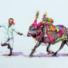 L'Inde en dessins 5 La vache décorée