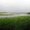 Polder 1