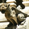 Les gargouilles de la Psalette (3)