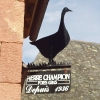 Collonges la Rouge (12)