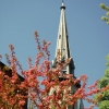 Clocher en fleurs