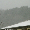 Un rideau de neige...