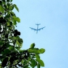 avion
