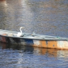 Port of Niteroi, Niteroi, Brazil, March 2012, V7