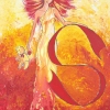 La femme S