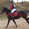 CCE de Meaux