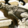 Les gargouilles de la Psalette (1)