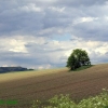 Campagne auvergnate