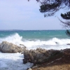 ile de lérins, vue vers cannes